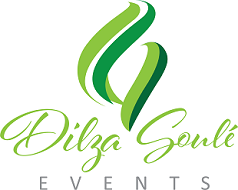Logo DilzaSouleEvents - Cópia